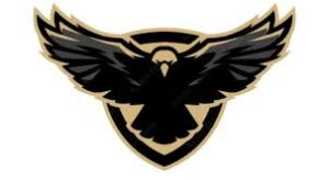 Falcon Movers and Packers
